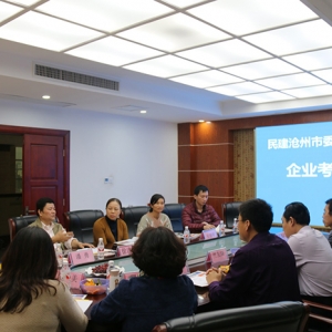 滄州民建考察團、南寧市民建調研組——行來我集團參觀考察 ... ...